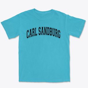 Carl Sandburg Elementary School Varsity Arch Premium Heavyweight T-shirt