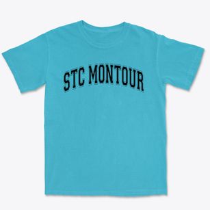 Stc Montour Elementary School Varsity Arch Premium Heavyweight T-shirt