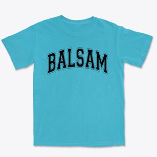 Balsam Elementary School Varsity Arch Premium Heavyweight T-shirt