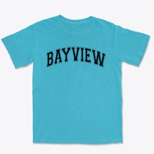 Ps 102 Bayview Varsity Arch Premium Heavyweight T-shirt