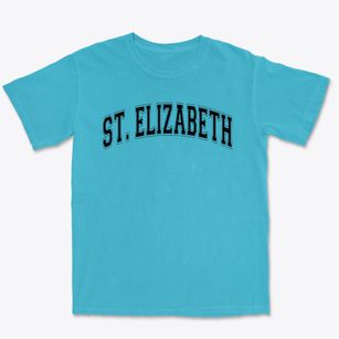 Saint Elizabeth Seaton School Varsity Arch Premium Heavyweight T-shirt