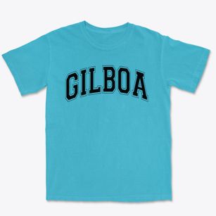 Gilboa Middle School Varsity Arch Premium Heavyweight T-shirt