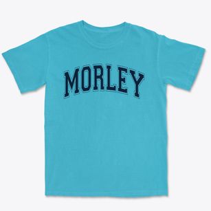 Morley Elementary School Varsity Arch Premium Heavyweight T-shirt