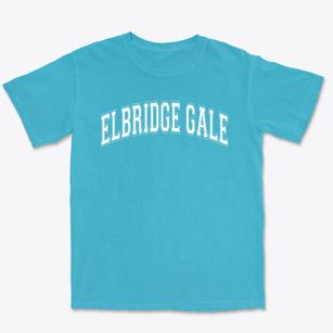 Elbridge Gale Elementary Varsity Arch Premium Heavyweight T-shirt