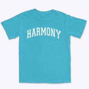 Harmony Elementary School Varsity Arch Premium Heavyweight T-shirt