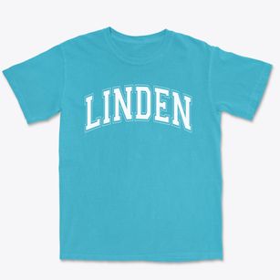 Linden Sda School Varsity Arch Premium Heavyweight T-shirt