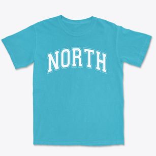 North Elementary School Varsity Arch Premium Heavyweight T-shirt