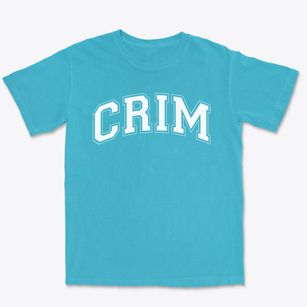 Crim Elementary School Varsity Arch Premium Heavyweight T-shirt