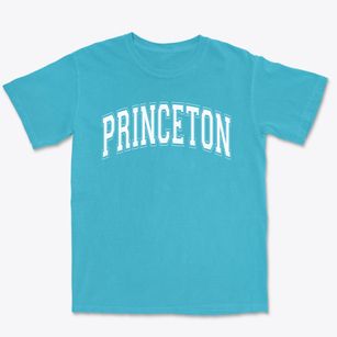 Princeton Community Middle School Varsity Arch Premium Heavyweight T-shirt