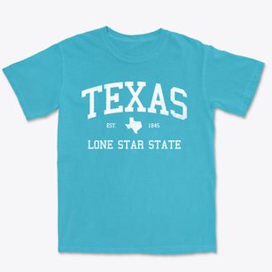  Texas Slogan Premium Heavyweight T-shirt