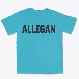 Allegan Michigan Classic Block Premium Heavyweight T-shirt