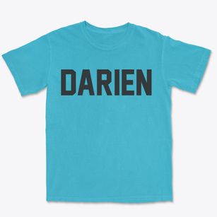 Darien New York Classic Block Premium Heavyweight T-shirt