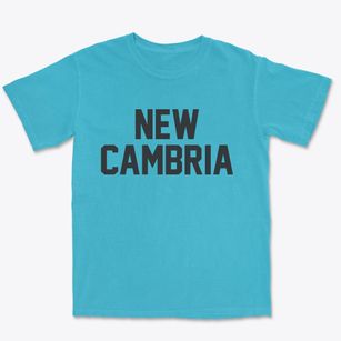 New Cambria Missouri Classic Block Premium Heavyweight T-shirt