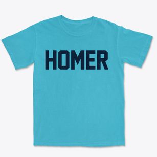 Homer New York Classic Block Premium Heavyweight T-shirt