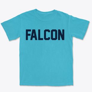Falcon North Carolina Classic Block Premium Heavyweight T-shirt