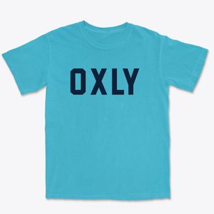 Oxly Missouri Classic Block Premium Heavyweight T-shirt