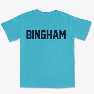 Bingham Illinois Classic Block Premium Heavyweight T-shirt