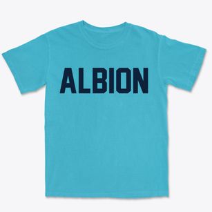 Albion Michigan Classic Block Premium Heavyweight T-shirt