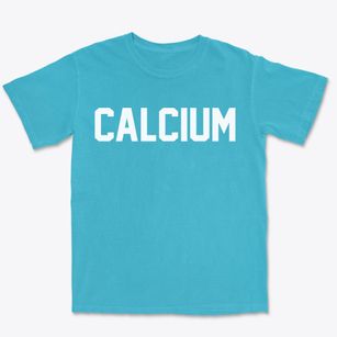 Calcium New York Classic Block Premium Heavyweight T-shirt