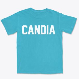 Candia New Hampshire Classic Block Premium Heavyweight T-shirt