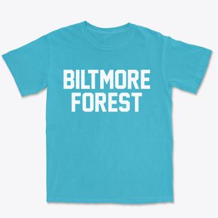 Biltmore Forest North Carolina Classic Block Premium Heavyweight T-shirt