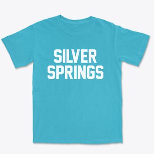 Silver Springs New York Classic Block Premium Heavyweight T-shirt
