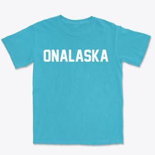 Onalaska Wisconsin Classic Block Premium Heavyweight T-shirt