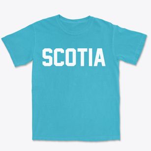 Scotia Nebraska Classic Block Premium Heavyweight T-shirt