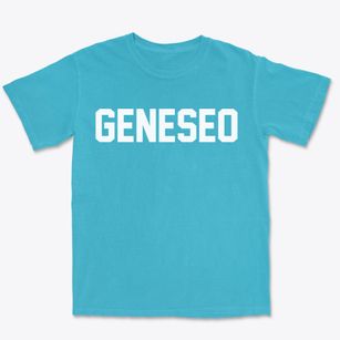 Geneseo New York Classic Block Premium Heavyweight T-shirt
