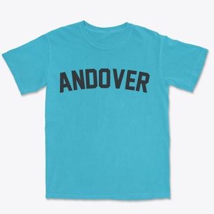 Andover New Jersey Classic Curve Premium Heavyweight T-shirt