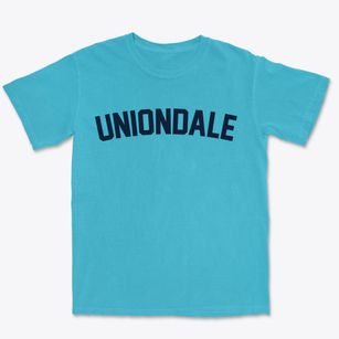 Uniondale New York Classic Curve Premium Heavyweight T-shirt