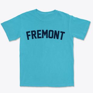 Fremont North Carolina Classic Curve Premium Heavyweight T-shirt