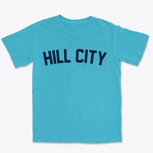 Hill City Minnesota Classic Curve Premium Heavyweight T-shirt