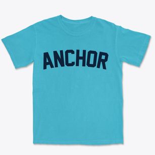Anchor Illinois Classic Curve Premium Heavyweight T-shirt