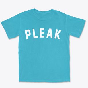Pleak Texas Classic Curve Premium Heavyweight T-shirt