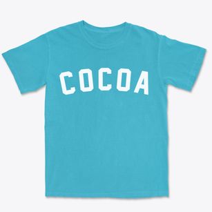 Cocoa Florida Classic Curve Premium Heavyweight T-shirt