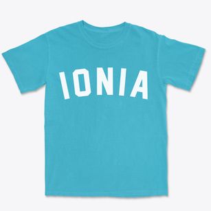 Ionia Michigan Classic Curve Premium Heavyweight T-shirt