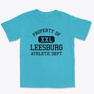 Leesburg Virginia Athletic Dept Premium Heavyweight T-shirt