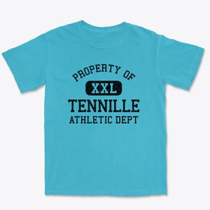 Tennille Georgia Athletic Dept Premium Heavyweight T-shirt
