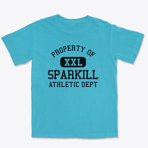 Sparkill New York Athletic Dept Premium Heavyweight T-shirt