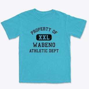 Wabeno Wisconsin Athletic Dept Premium Heavyweight T-shirt