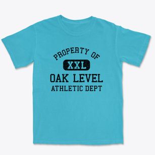 Oak Level Virginia Athletic Dept Premium Heavyweight T-shirt