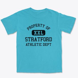 Stratford New Hampshire Athletic Dept Premium Heavyweight T-shirt