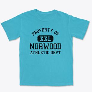 Norwood Ohio Athletic Dept Premium Heavyweight T-shirt