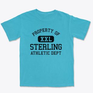 Sterling Ohio Athletic Dept Premium Heavyweight T-shirt