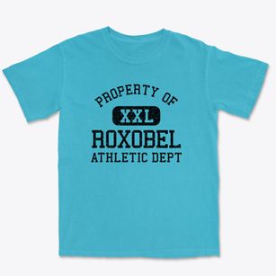 Roxobel North Carolina Athletic Dept Premium Heavyweight T-shirt