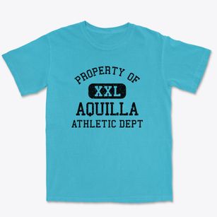 Aquilla Texas Athletic Dept Premium Heavyweight T-shirt