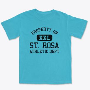St. Rosa Minnesota Athletic Dept Premium Heavyweight T-shirt