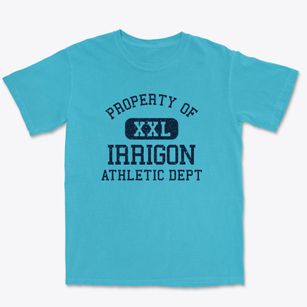 Irrigon Oregon Athletic Dept Premium Heavyweight T-shirt