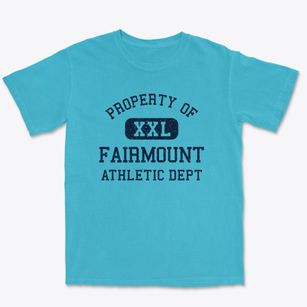 Fairmount Maryland Athletic Dept Premium Heavyweight T-shirt